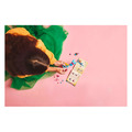 【磚星球】樂高 LEGO 71488 夢工廠系列 邦啾的創意動物大冒險 Bunchu's Creative Animal Adventures_4