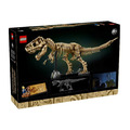 【磚星球】樂高 LEGO 76968 侏儸紀世界 恐龍化石 暴龍 Dinosaur Fossils: T Rex_3