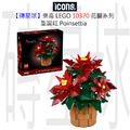 【磚星球】樂高 LEGO 10370 花藝系列 聖誕紅 Poinsettia