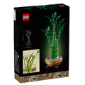 【磚星球】樂高 LEGO 10344 花藝系列 開運竹 Lucky Bamboo_3
