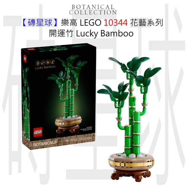 【磚星球】樂高 LEGO 10344 花藝系列 開運竹 Lucky Bamboo