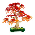 【磚星球】樂高 LEGO 10348 花藝系列 日本紅楓盆景 Japanese Red Maple Bonsai Tree_1