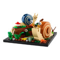 【磚星球】樂高 LEGO 40788 特殊 友善小蝸牛 Friendly Snails_1