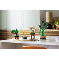 【磚星球】樂高 LEGO 10373 花藝系列 迷你盆景 Mini Bonsai Trees_3