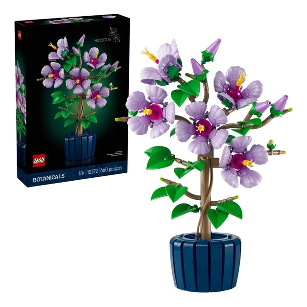 【磚星球】樂高 LEGO 10372 花藝系列 木槿 Hibiscus