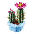 【磚星球】樂高 LEGO 11509 花藝系列 開花仙人掌 Flowering Cactus_1