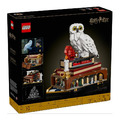【磚星球】樂高 LEGO 76466 哈利波特 魔法石&trade;－典藏版 Sorcerer's Stone &ndash; Collectors' Edition_2