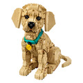 【磚星球】樂高 LEGO 11384 ICONS™ 小黃金獵犬 Golden Retriever Puppy_1