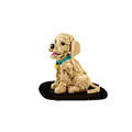 【磚星球】樂高 LEGO 11384 ICONS™ 小黃金獵犬 Golden Retriever Puppy_7