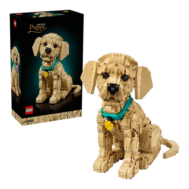 【磚星球】樂高 LEGO 11384 ICONS™ 小黃金獵犬 Golden Retriever Puppy