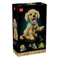 【磚星球】樂高 LEGO 11384 ICONS™ 小黃金獵犬 Golden Retriever Puppy_2