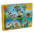 【磚星球】樂高 LEGO 31388 創意三合一系列 野生動物 無尾熊家族 Wild Animals: Family of Koalas_2