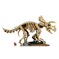 【磚星球】樂高 LEGO 77985 侏儸紀世界 恐龍化石 三角龍 Dinosaur Fossils: Triceratops_3