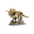 【磚星球】樂高 LEGO 77985 侏儸紀世界 恐龍化石 三角龍 Dinosaur Fossils: Triceratops_4