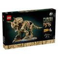 【磚星球】樂高 LEGO 77985 侏儸紀世界 恐龍化石 三角龍 Dinosaur Fossils: Triceratops_2