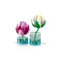 【磚星球】樂高 LEGO 11511 花藝系列 睡蓮 Water Lilies_5