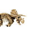 【磚星球】樂高 LEGO 77985 侏儸紀世界 恐龍化石 三角龍 Dinosaur Fossils: Triceratops_5