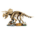 【磚星球】樂高 LEGO 77985 侏儸紀世界 恐龍化石 三角龍 Dinosaur Fossils: Triceratops_1