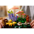 【磚星球】樂高 LEGO 11505 花藝系列 林地蘑菇 Woodland Mushrooms_5