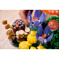 【磚星球】樂高 LEGO 11505 花藝系列 林地蘑菇 Woodland Mushrooms_6