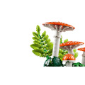【磚星球】樂高 LEGO 11505 花藝系列 林地蘑菇 Woodland Mushrooms_7