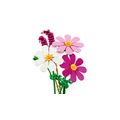 【磚星球】樂高 LEGO 11514 花藝系列 大波斯菊 Cosmos Flowers_6