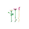 【磚星球】樂高 LEGO 11514 花藝系列 大波斯菊 Cosmos Flowers_5