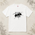 LOOKFINE 巨山蟻 短T