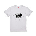 LOOKFINE 巨山蟻 短T_5