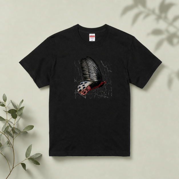 LOOKFINE 臺灣曙鳳蝶 短T