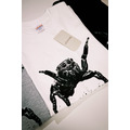 LOOKFINE 家庭小跳蛛 短T_3