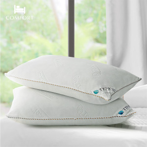 天絲 冬夏兩用透氣枕（1入）