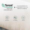 天絲 冬夏兩用透氣枕（1入）_3