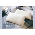 天絲 冬夏兩用透氣枕（1入）_1