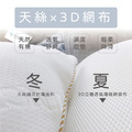 天絲 冬夏兩用透氣枕（1入）_2
