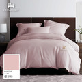 【法式優雅系列】《六尺加大》頂級100% TENCEL天絲™萊賽爾素色60s / 300織 床包枕套兩用被四件組_2
