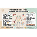 養生四面拍 (拍痧) (1支/透明自黏袋)_6