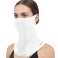 Multi-functional mesh face mask（508-1）