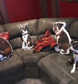 50cm 訂製寵物造型枕