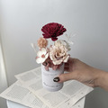 慢時芳華・康乃馨迷你盆花｜永生盆花_1