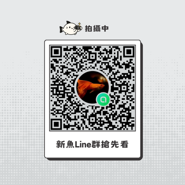 黃金螺