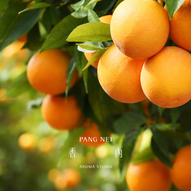 甜橙精油 Orange