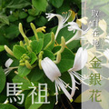 馬祖金銀花糖_2