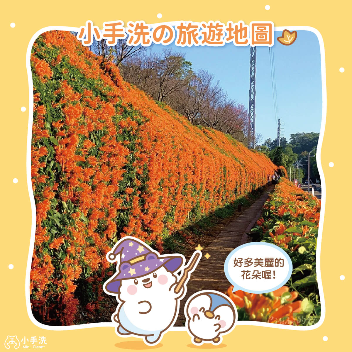 小手洗の旅遊地圖-苗栗銅鑼炮仗花海公園