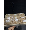 天然水晶 水晶碎石 馬島油膽閃靈鑽碎石 淨化碎石 含油膽_4