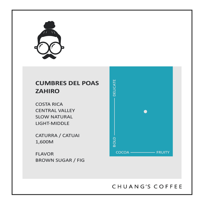 哥斯大黎加 火鳳凰莊園 藍寶石