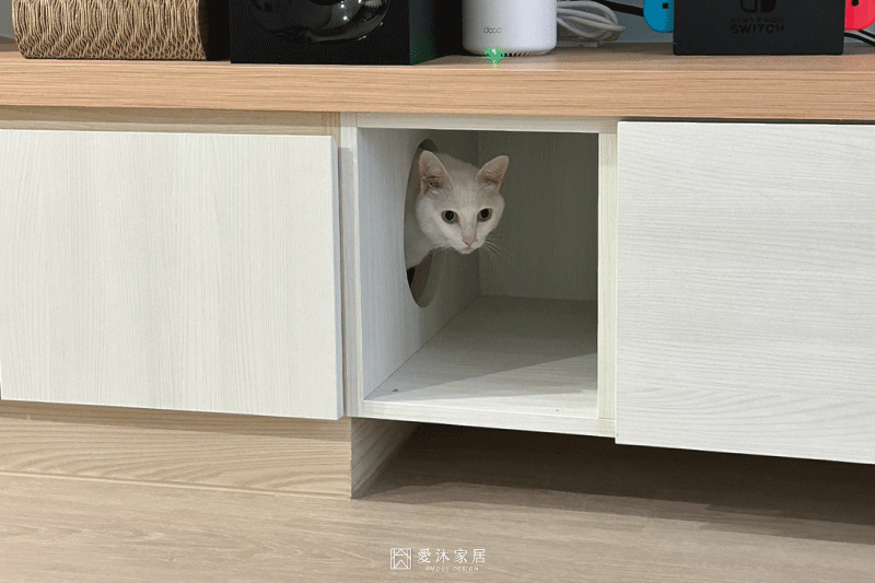 人貓共居客廳將貓跳台、貓洞與電視櫃整合規劃,讓貓咪能自在穿梭於公領域空間
