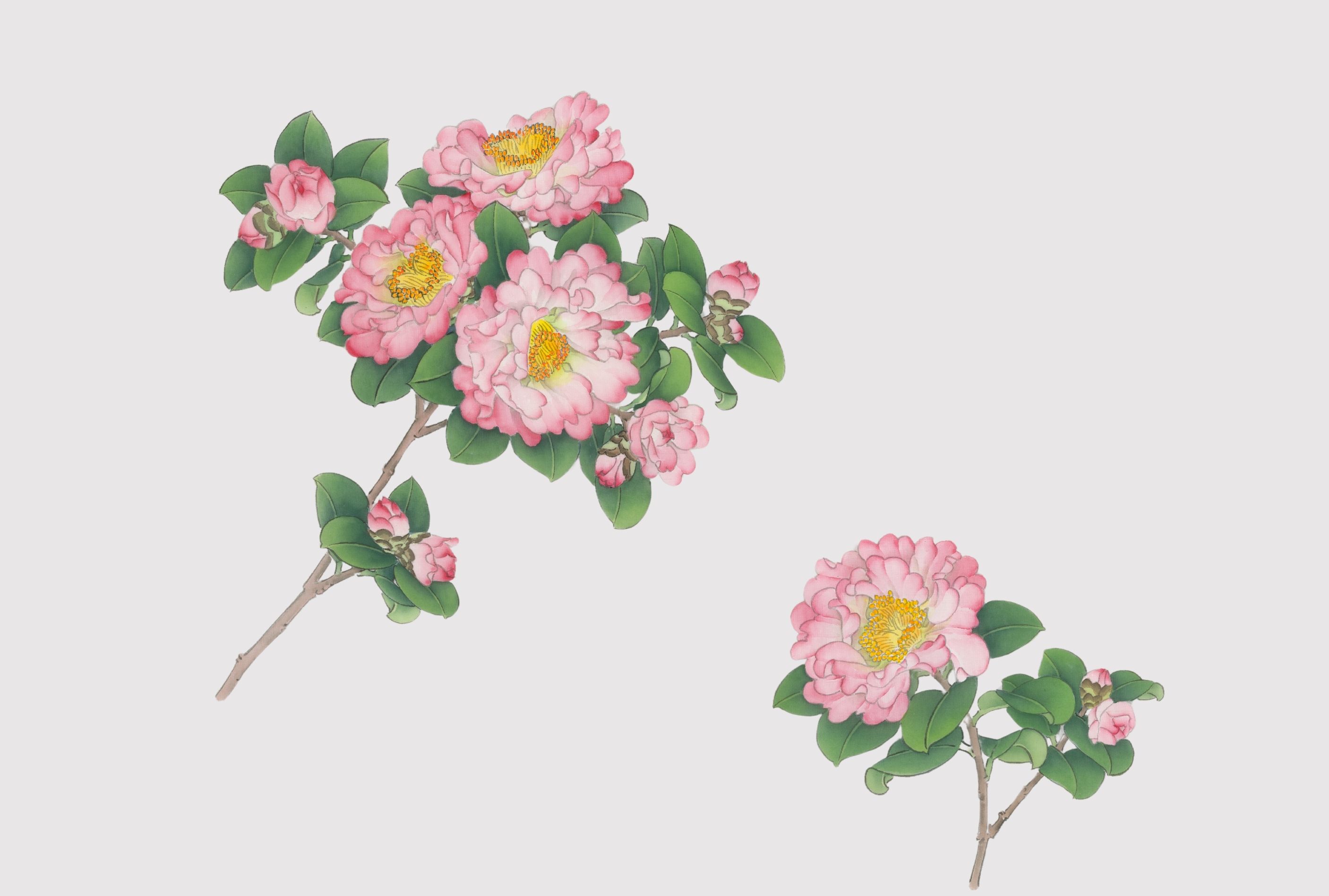 農藥零檢出