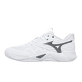 (男)【美津濃MIZUNO】Wave Momentum Pro 羽排鞋-白色 V1GA254083
