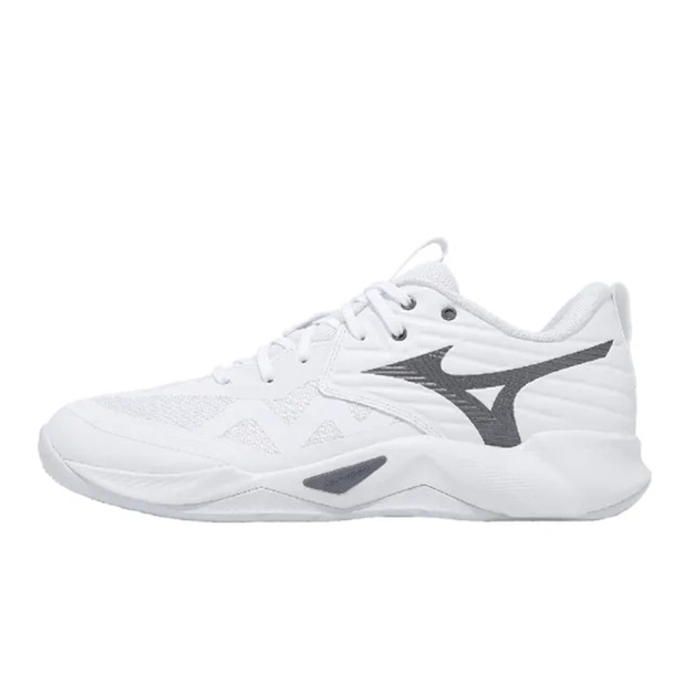 (男)【美津濃MIZUNO】Wave Momentum Pro 羽排鞋-白色 V1GA254083